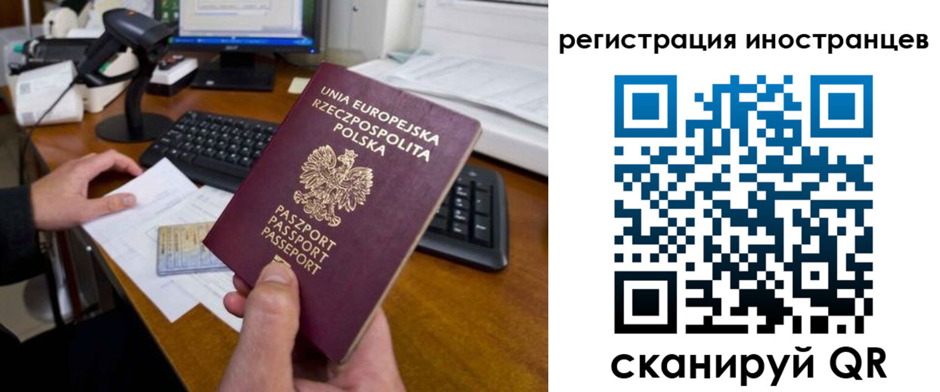 прописка поиск в Мурманске